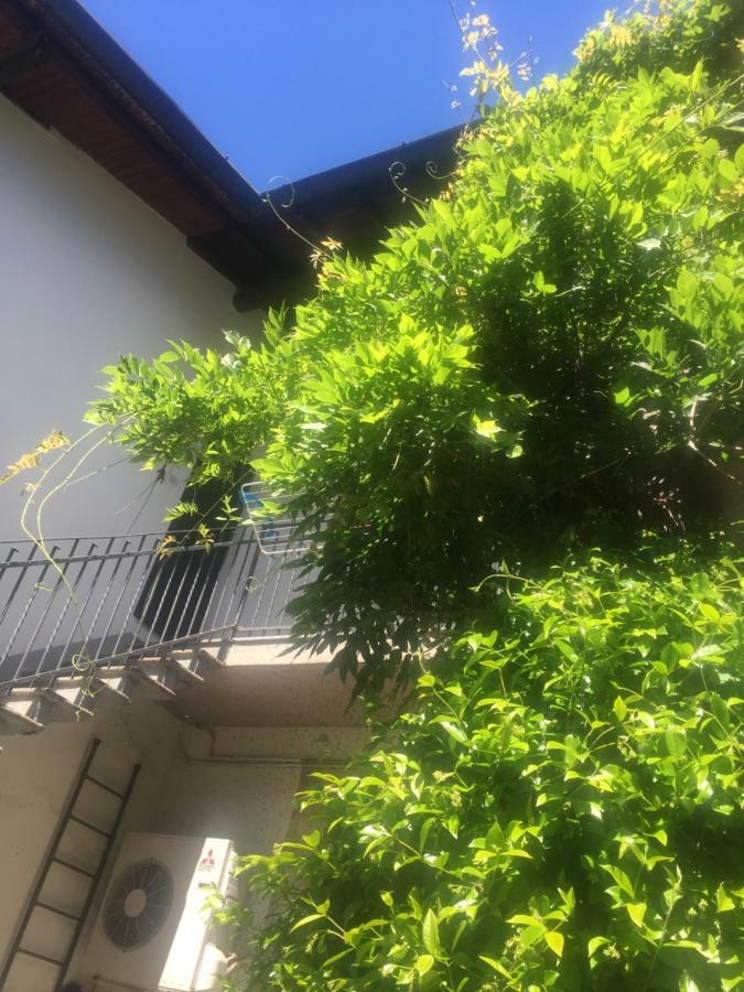Delizioso Appartamento In Corte Vittuone Eksteriør billede
